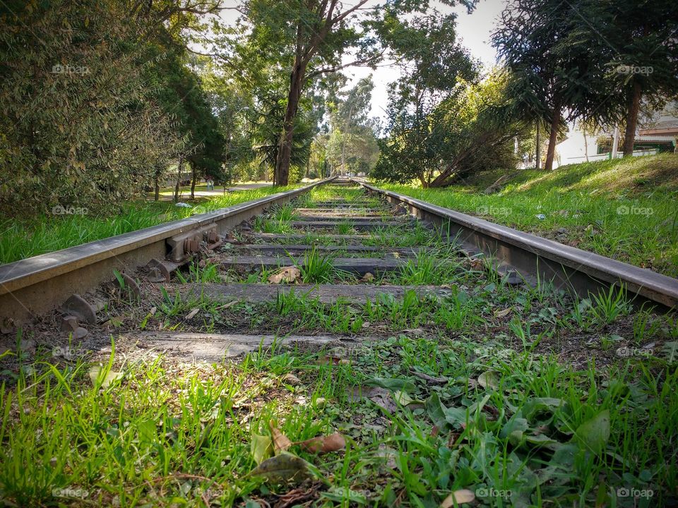 The way train track