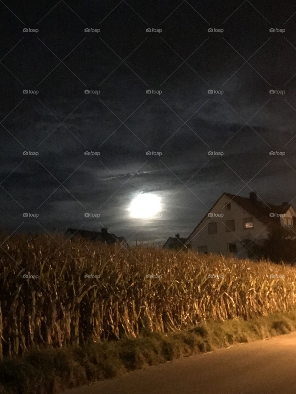 Full moon…Corn field during evening…