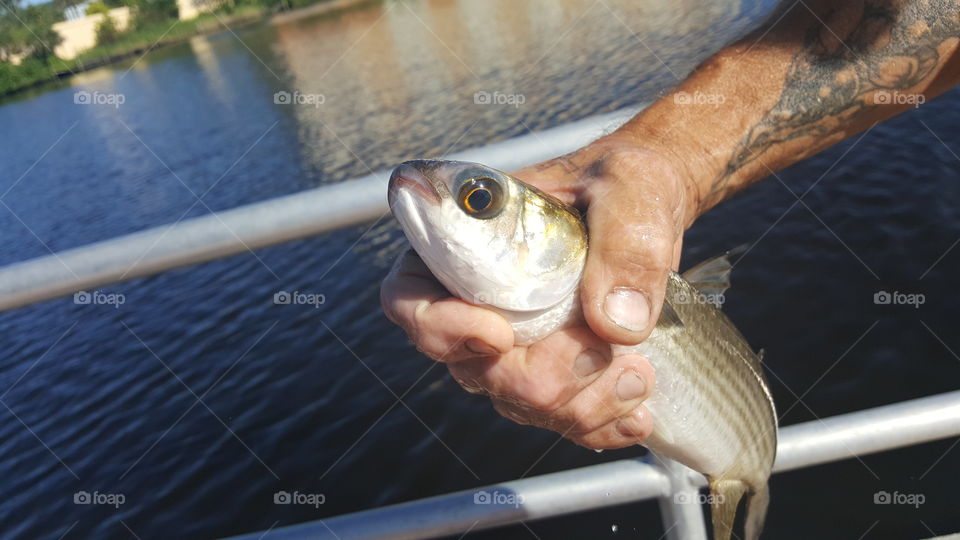 Men holding a dead fish