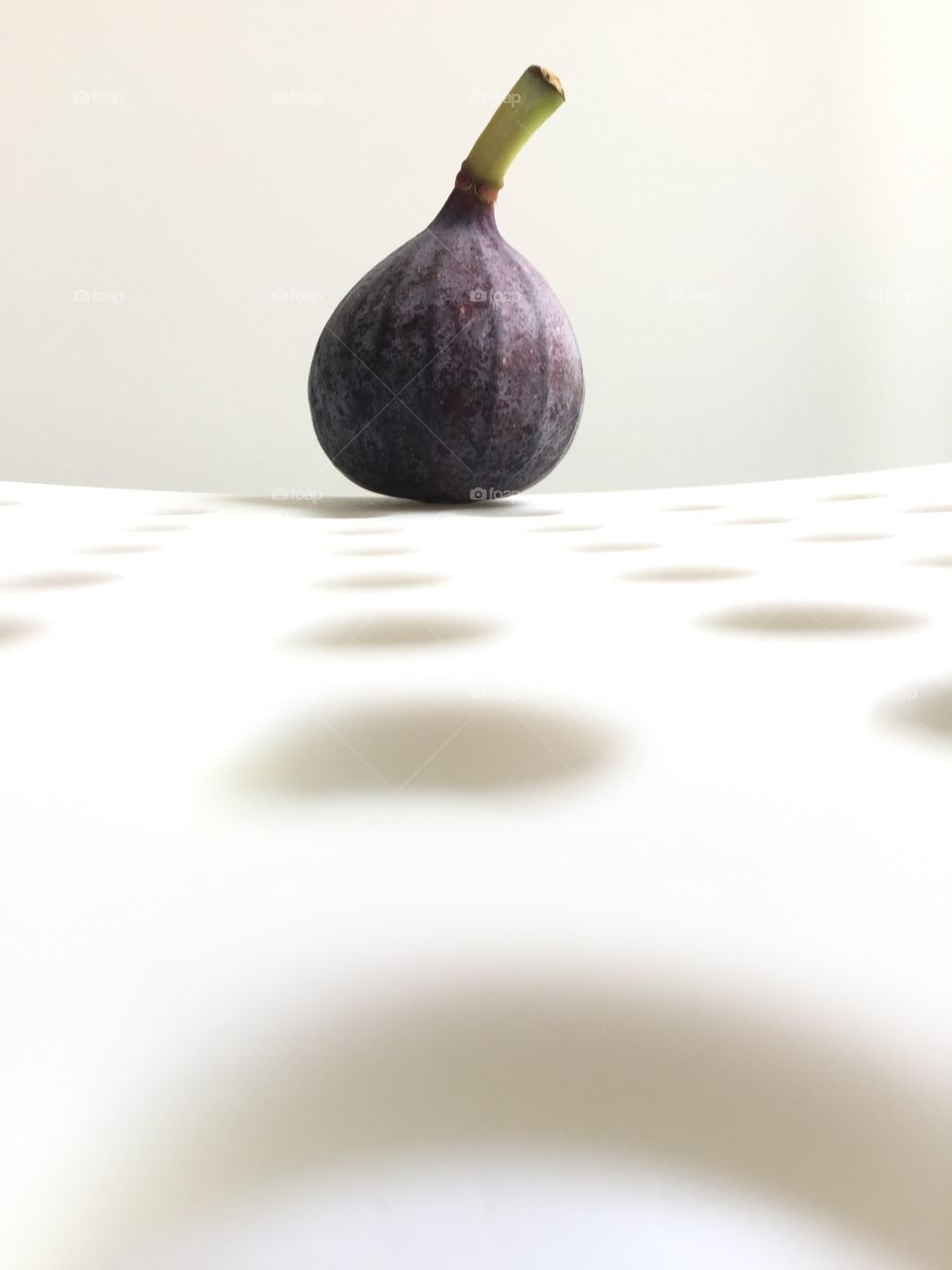 Fig