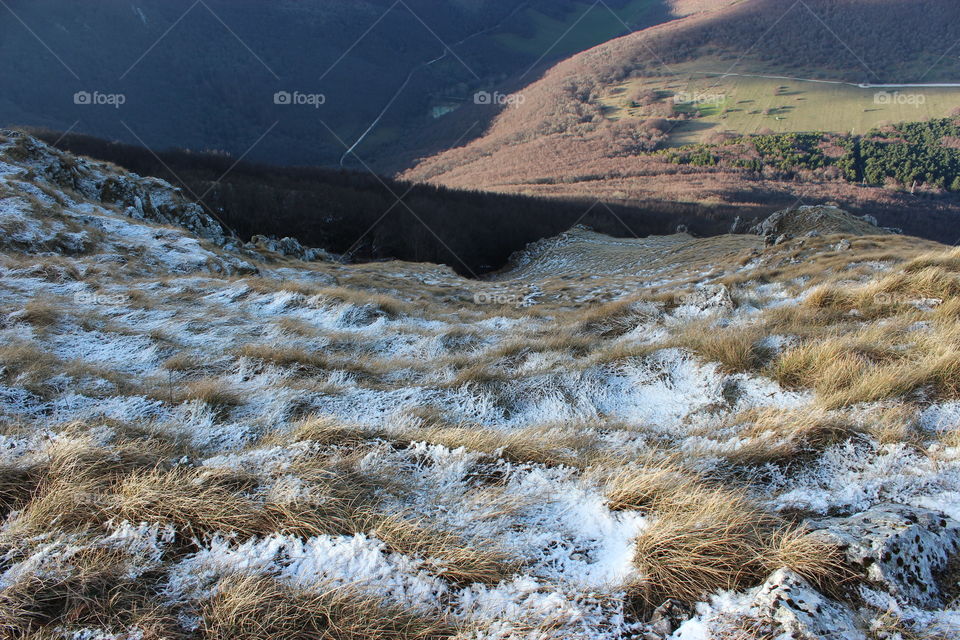 snow and grass