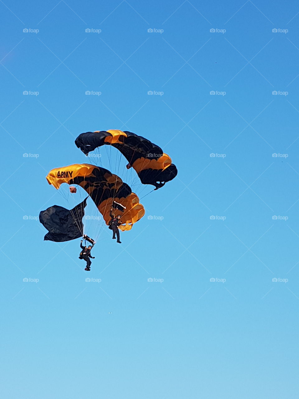 US Army Golden Knights parachuting in tandem in bright blue skies