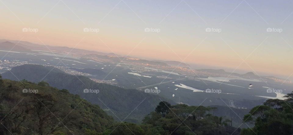 forest in the mountains