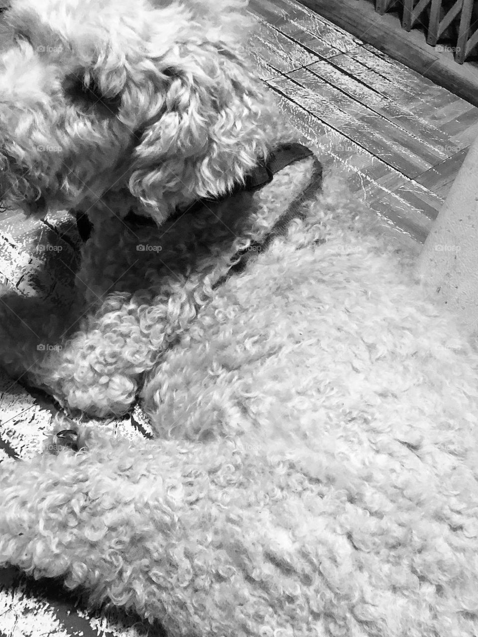 Old timer still here for you.