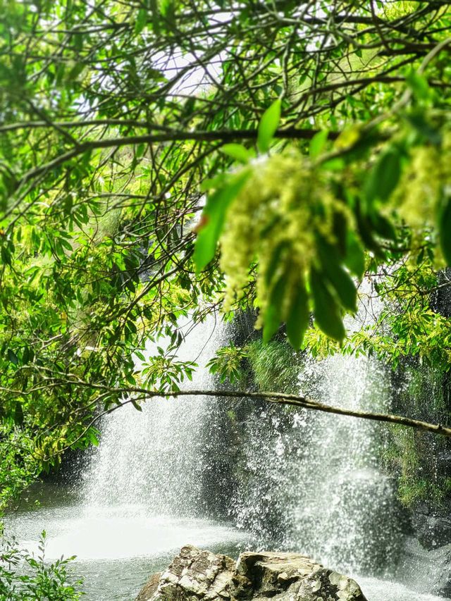 Cachoeira da gruta - Delfinópolis - MG, Brazil