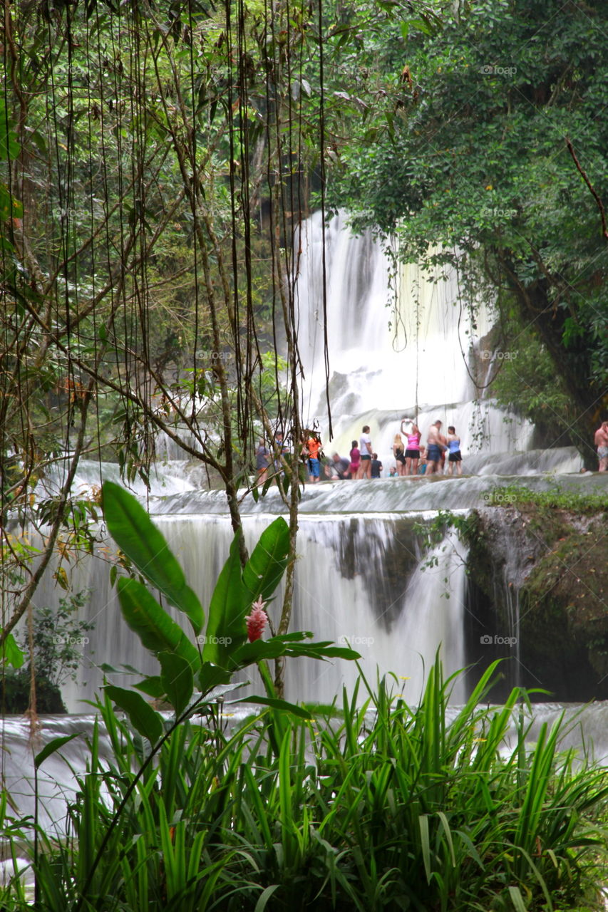 Water, Nature, No Person, Waterfall, Wood