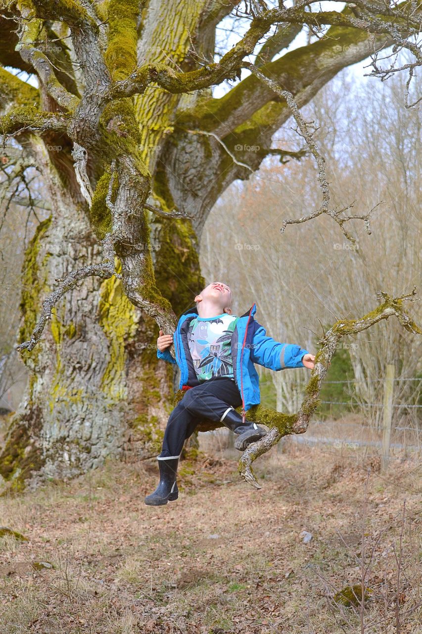 Cute boy sitting on a tree branch and look up on the tree