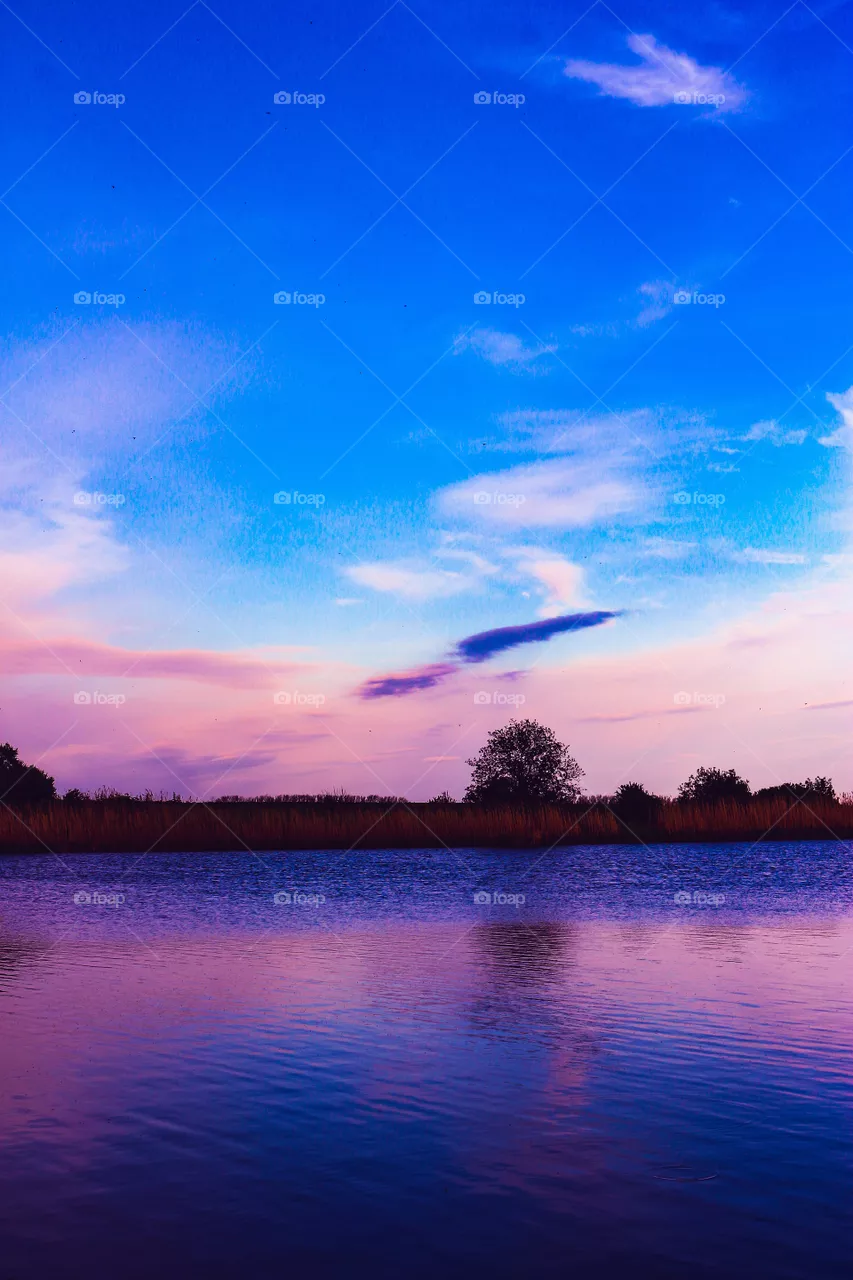Nature