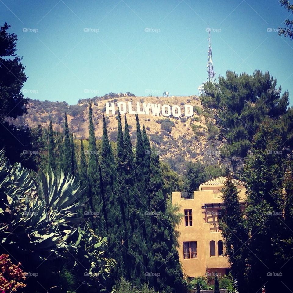 Hollywood