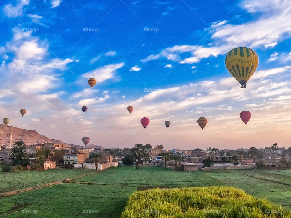 Balloon time in the nice field view