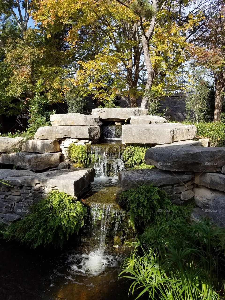 Fort Worth botanical gardens