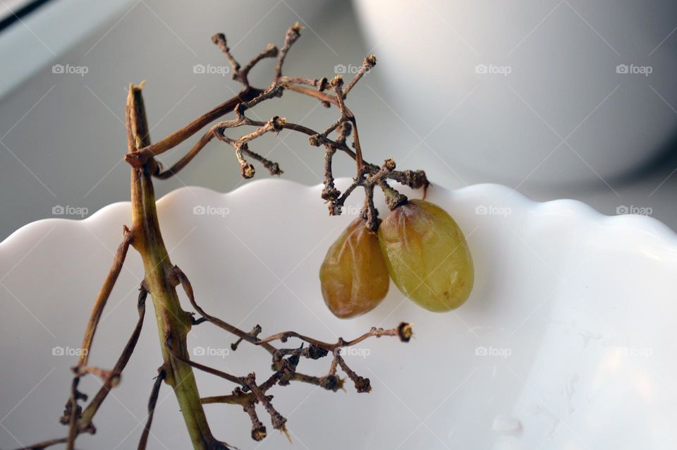 Several ripe berries of green grapes on a branch in a plate