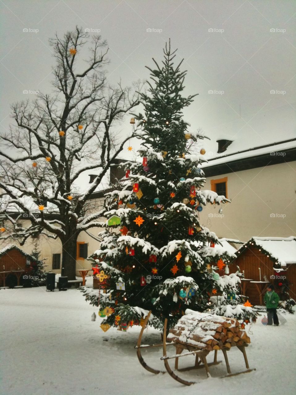 Austrian winter