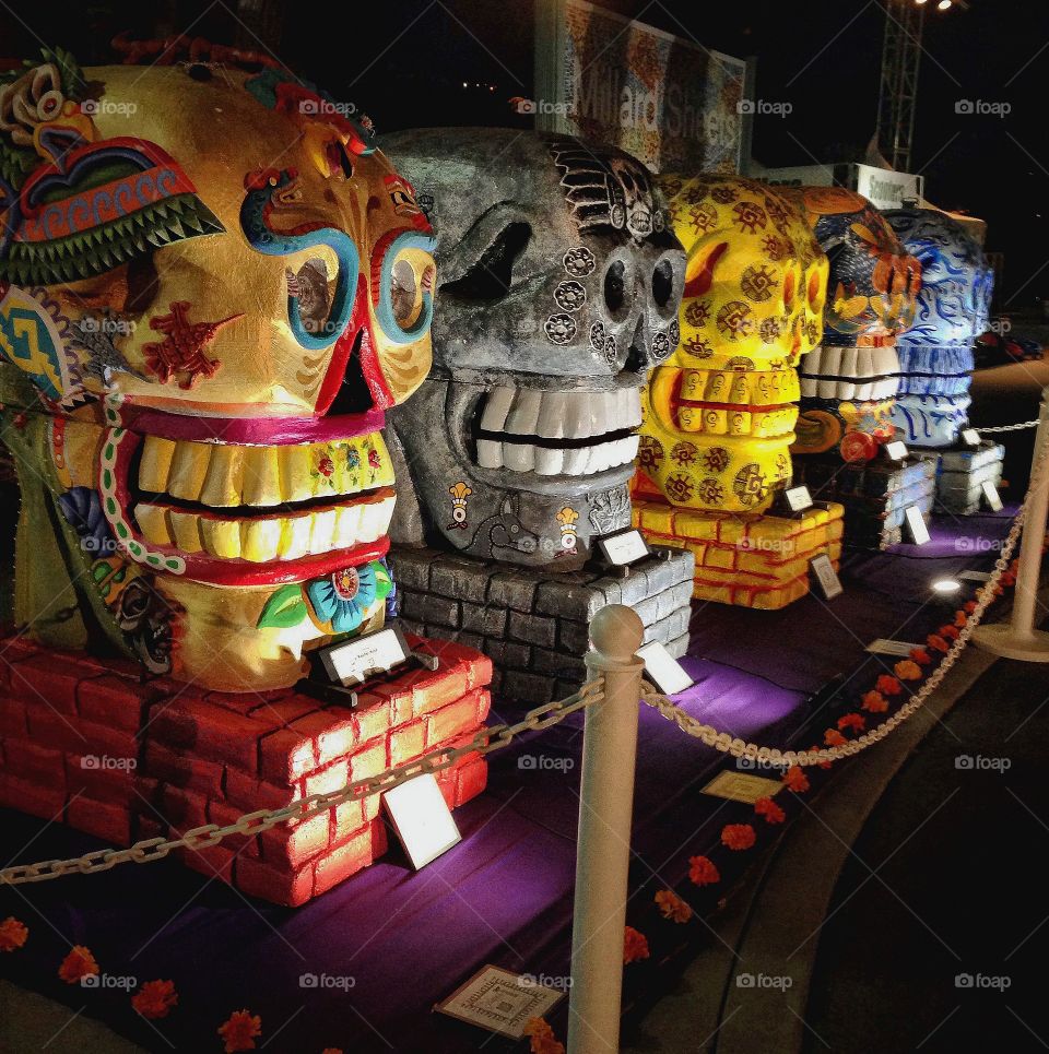 "Day of the dead" sculls of the night 