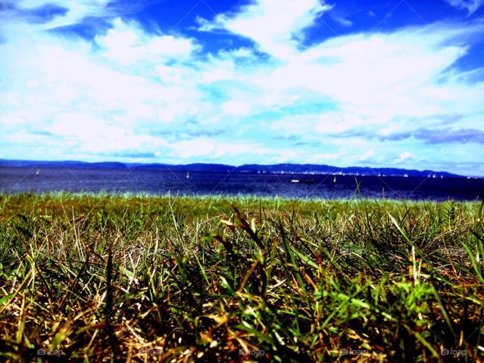 Beach, Grass, Sand, Summer, Sunny, Hot, Color, Blue, Sky, Cloud