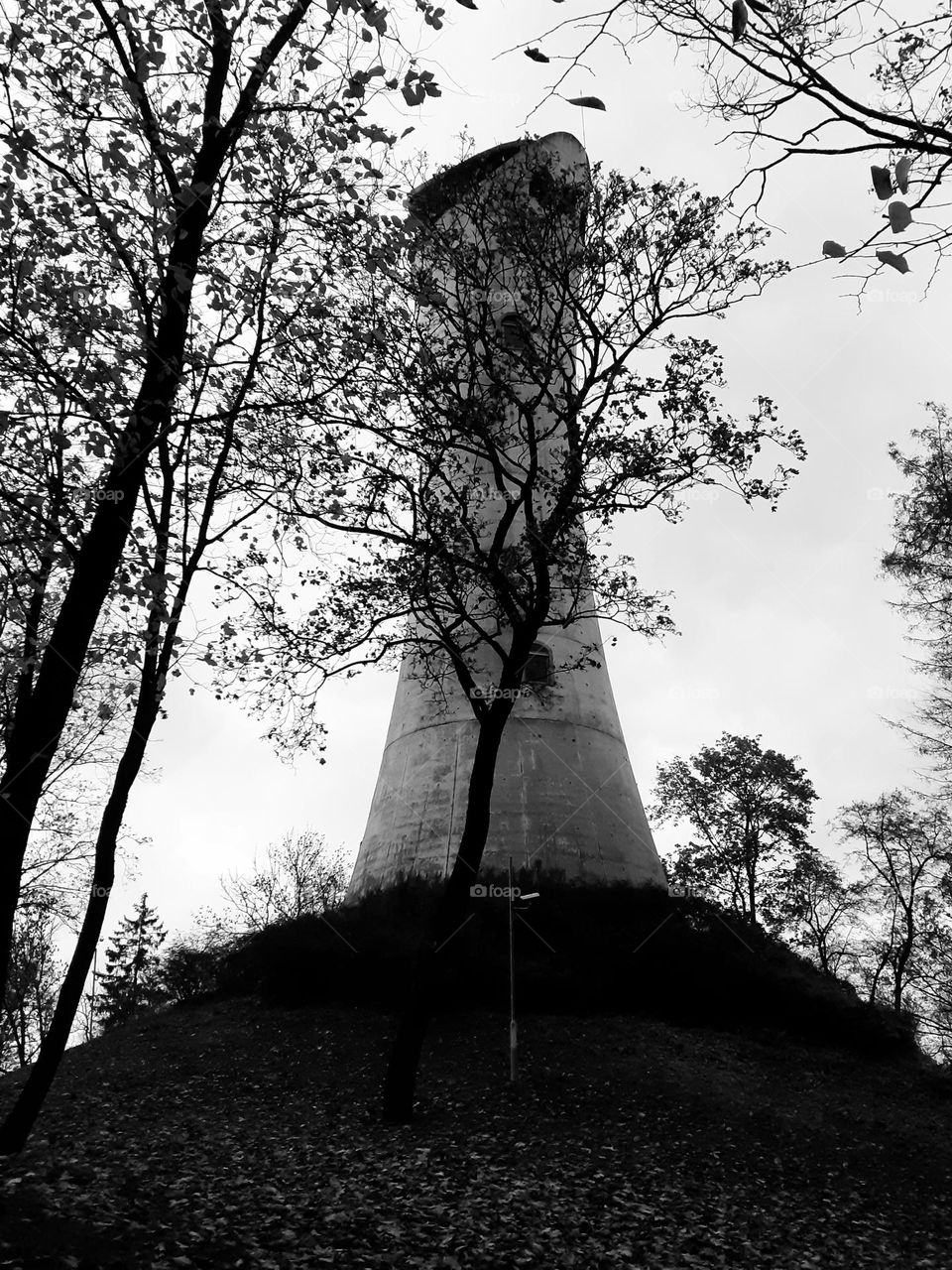 Ziemeļblazma. Tornis