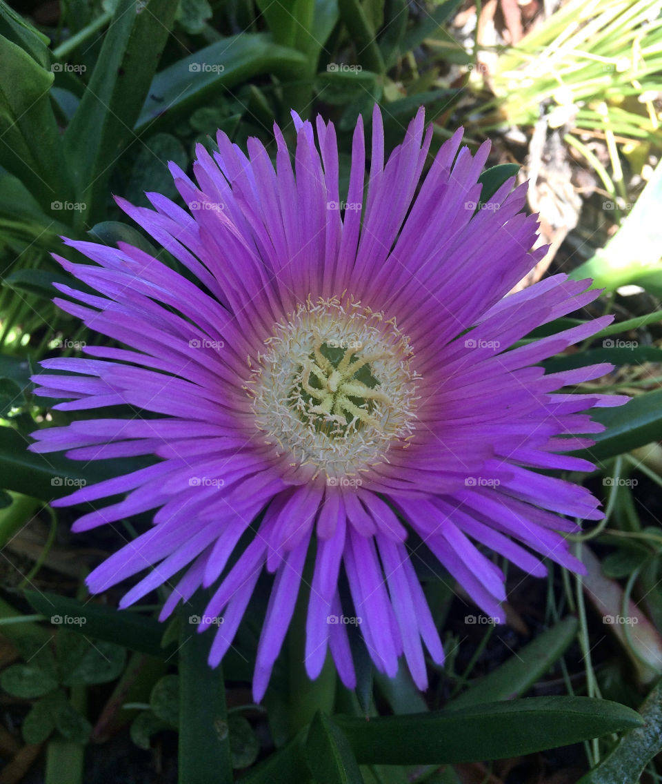 Beautiful macro shots 