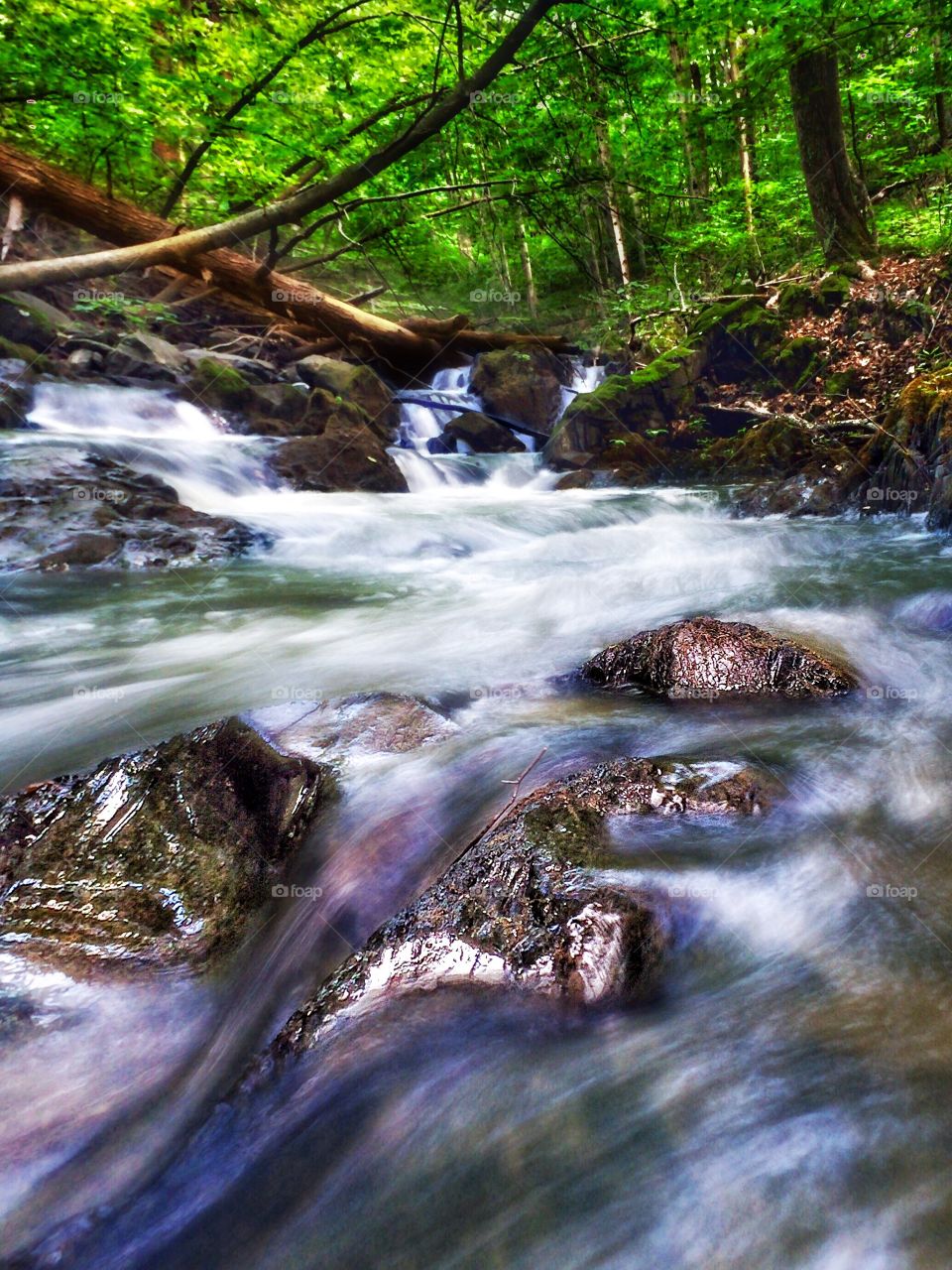 Water, Stream, Waterfall, Nature, River