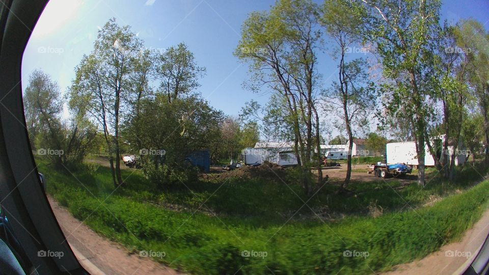 Tree, Landscape, No Person, Environment, Road