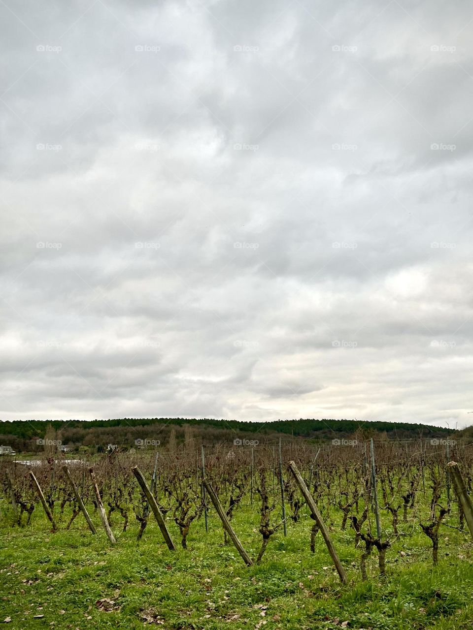 France , Juanary 2023 . 