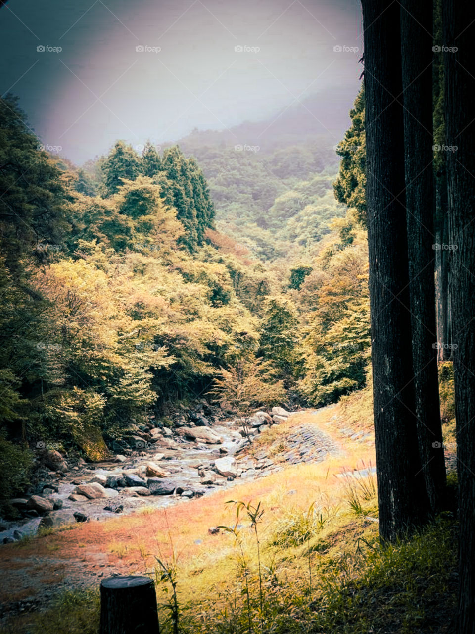 amazing natural beauty of stream