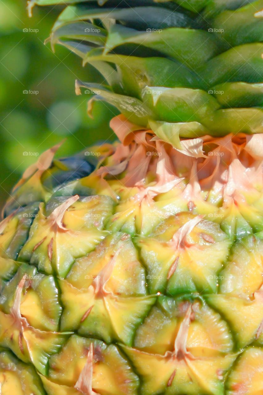 pineapple salad anyone?