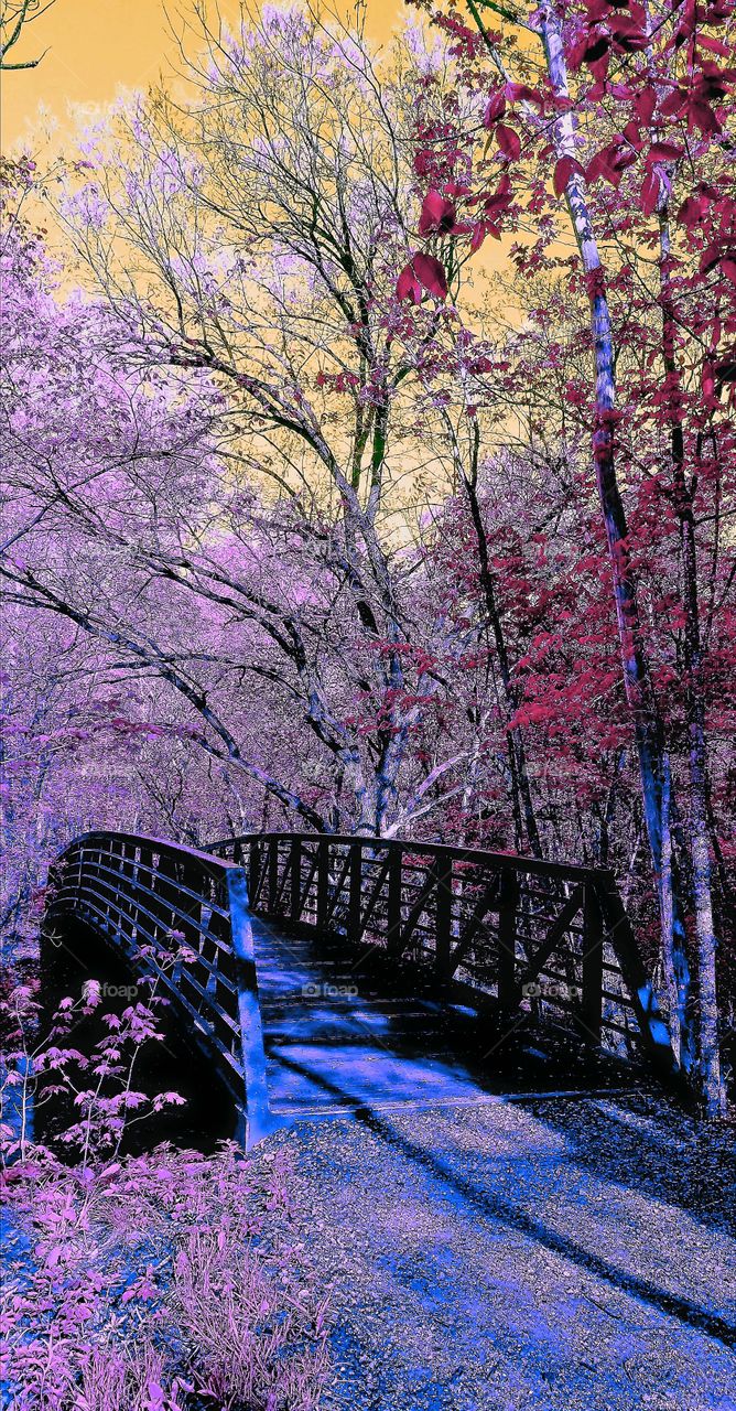 beautiful colorful bridge in the Minnesota forest