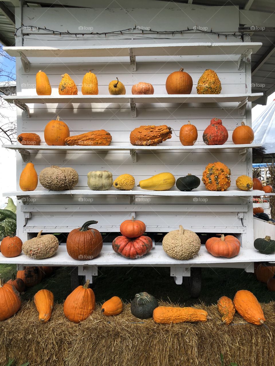 Pumpkin wall