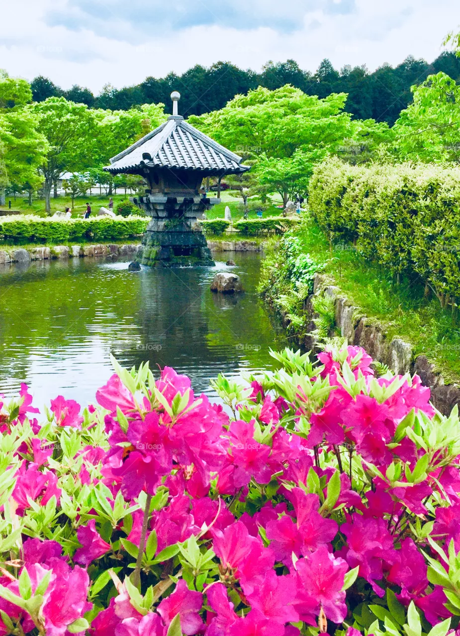 garden