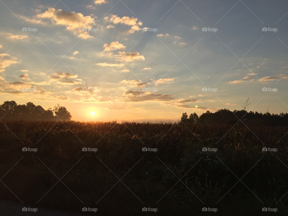 Sunrise view during autumn season
