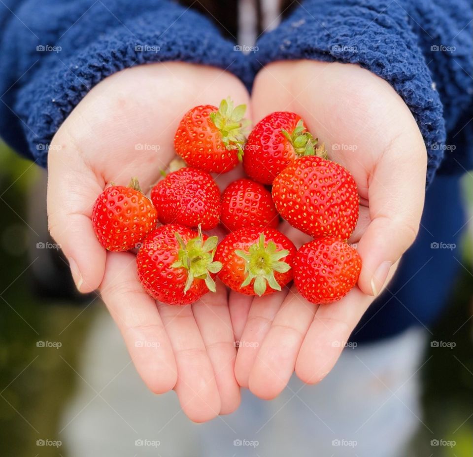 Strawberries 