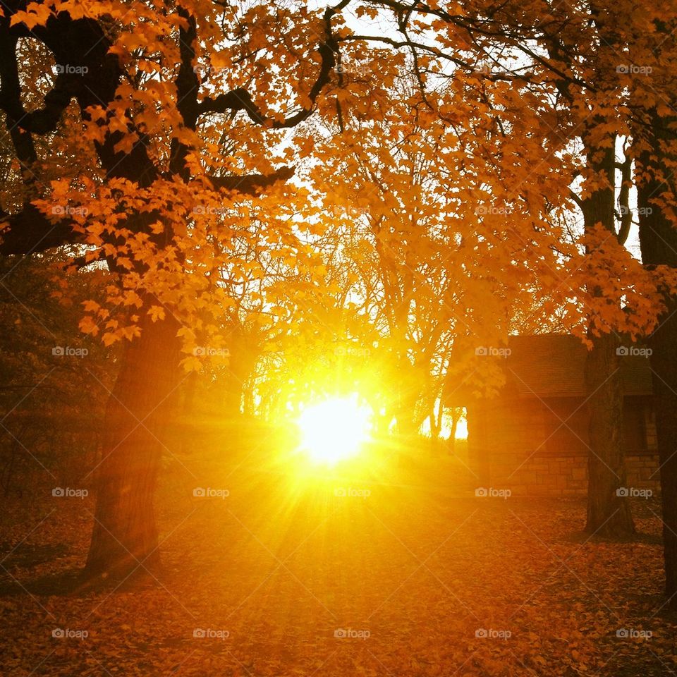 Fall sunset