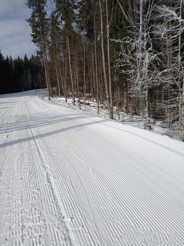 winter nature. snow. ski track