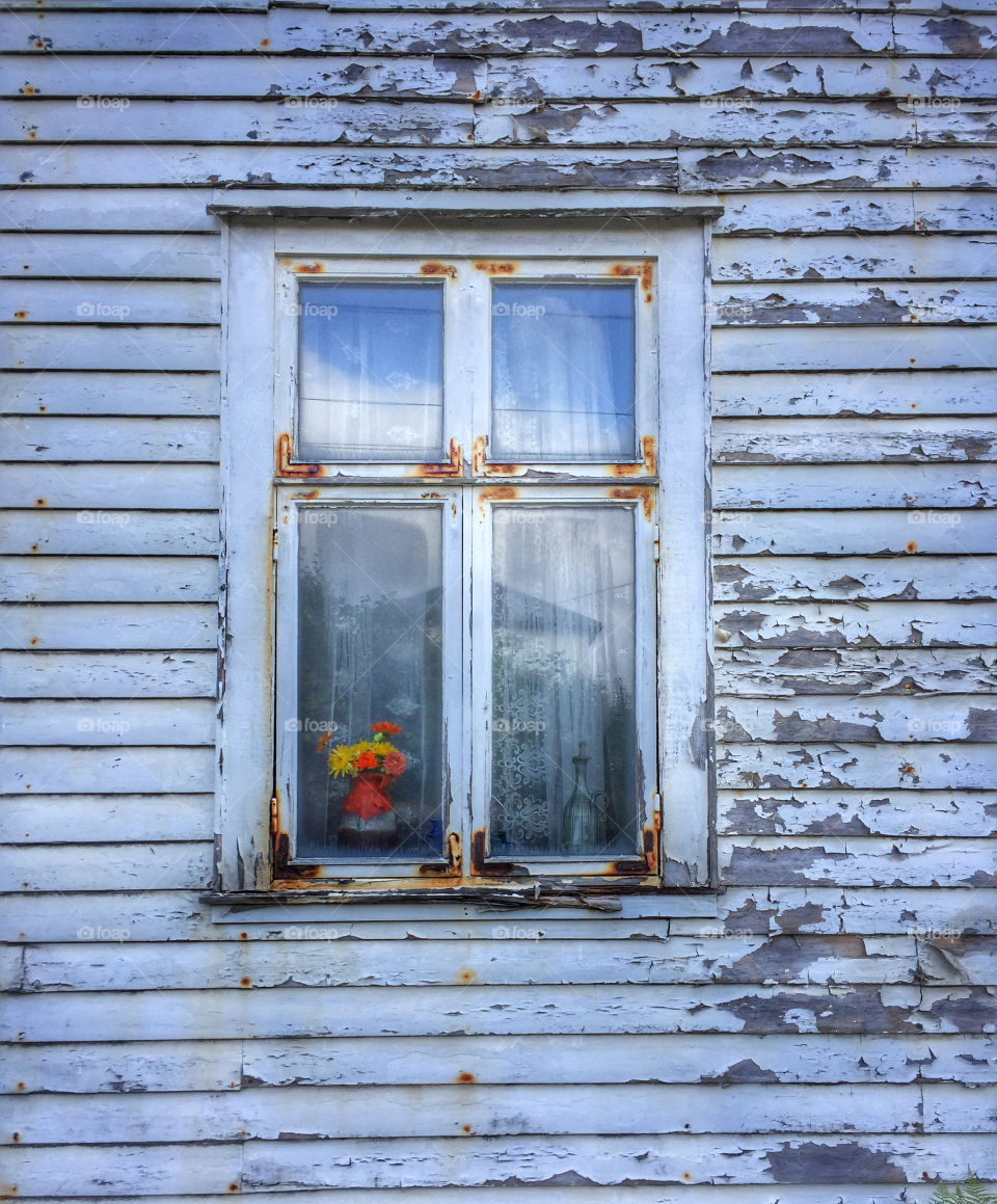 Vase of flowers in a window