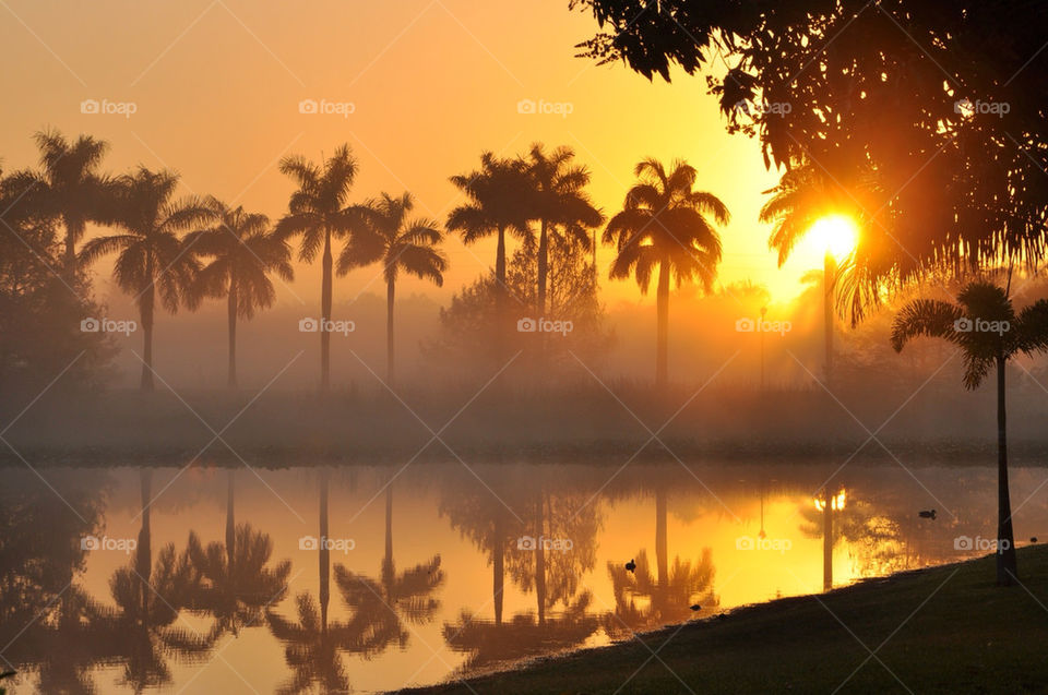 Sunrise in Journey's End, FL