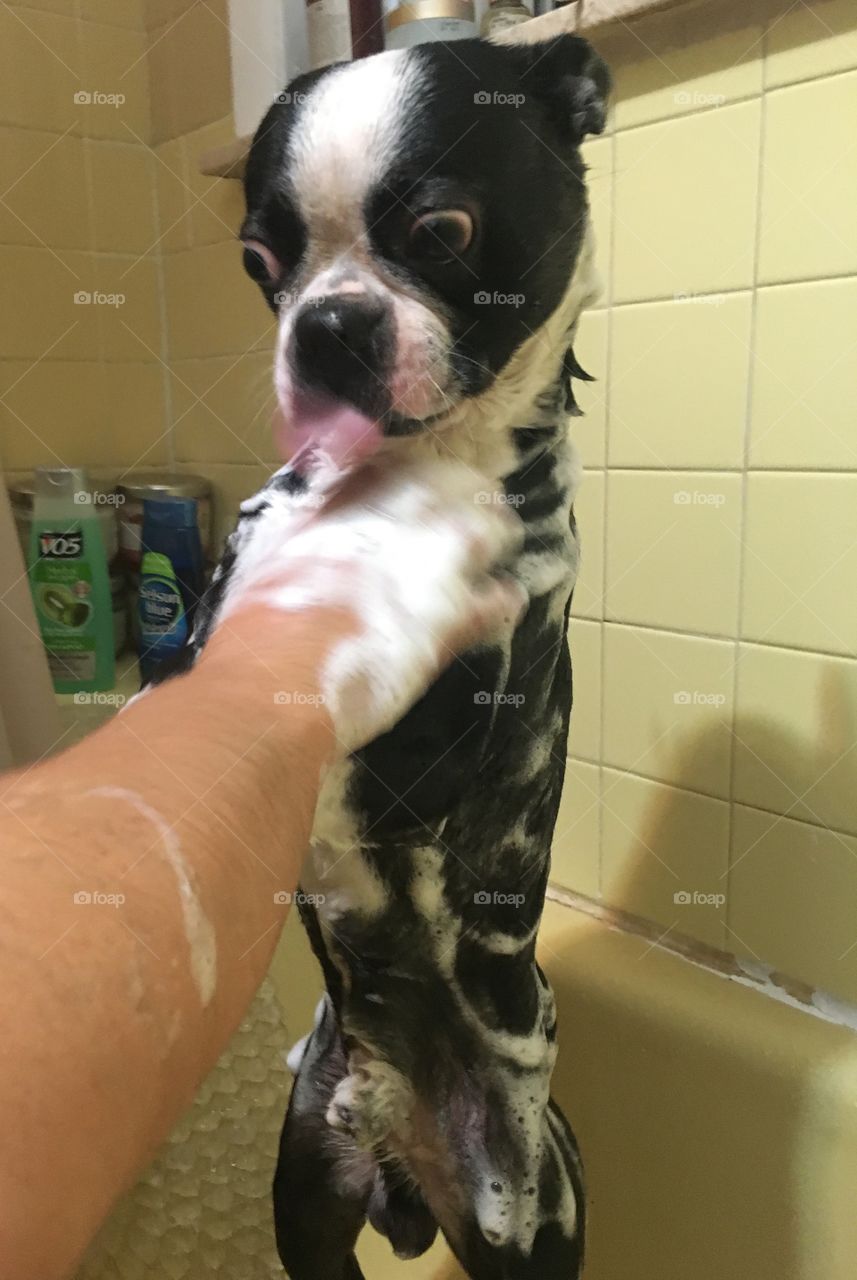 Shower time!