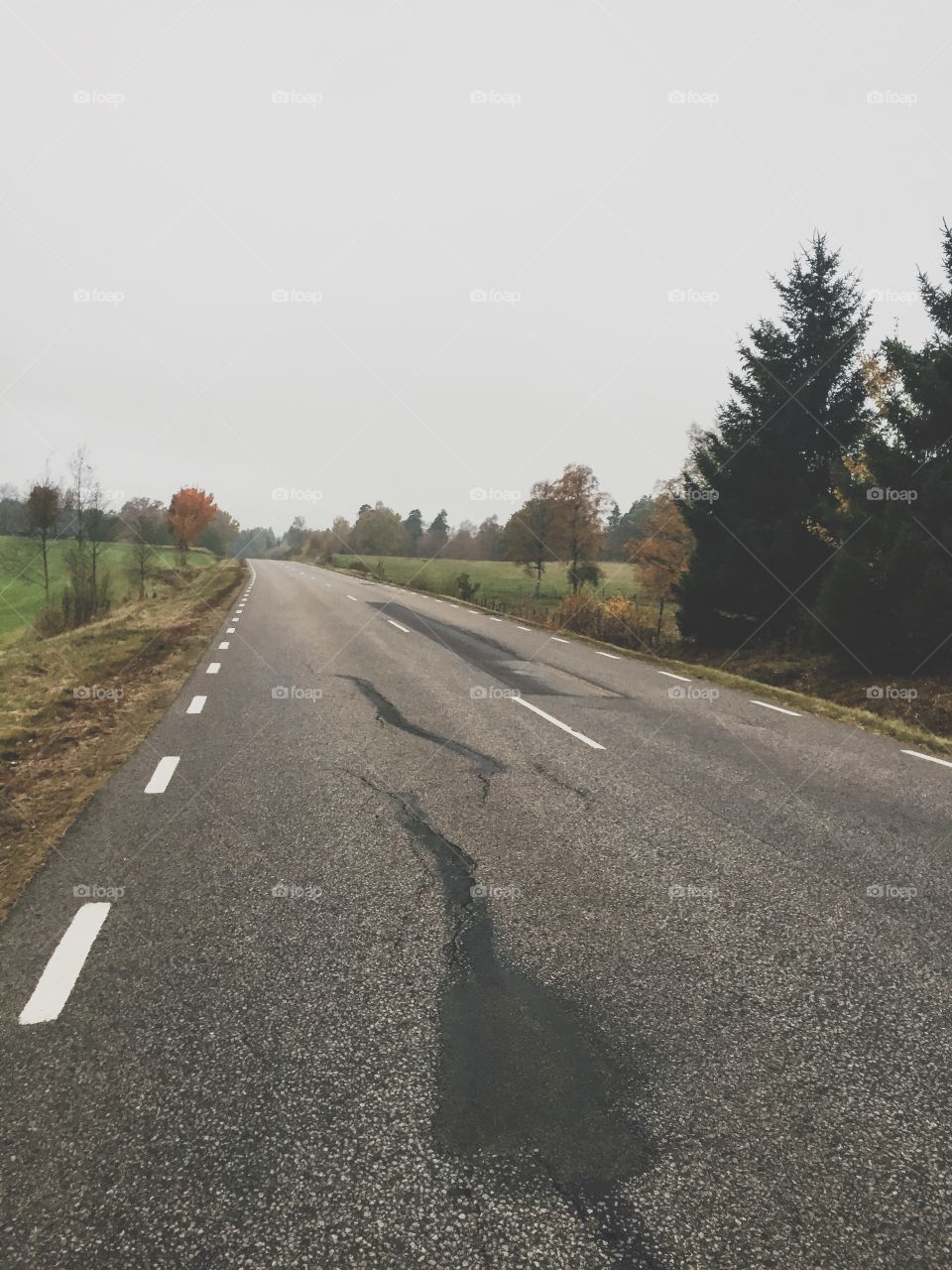 Road