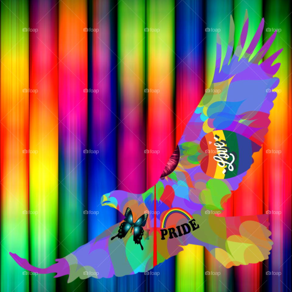 Rainbow eagle
