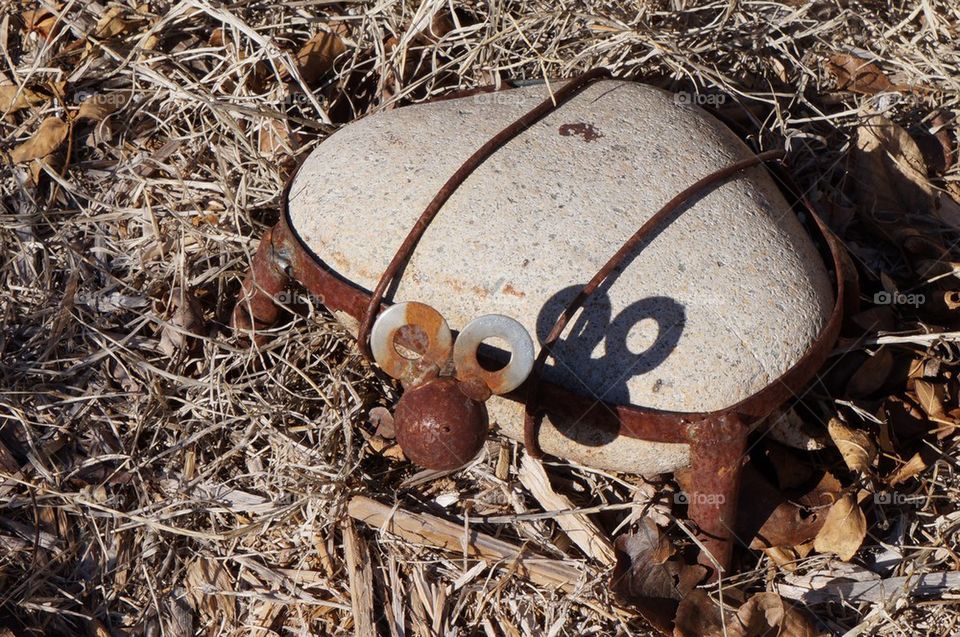 Rock turtle