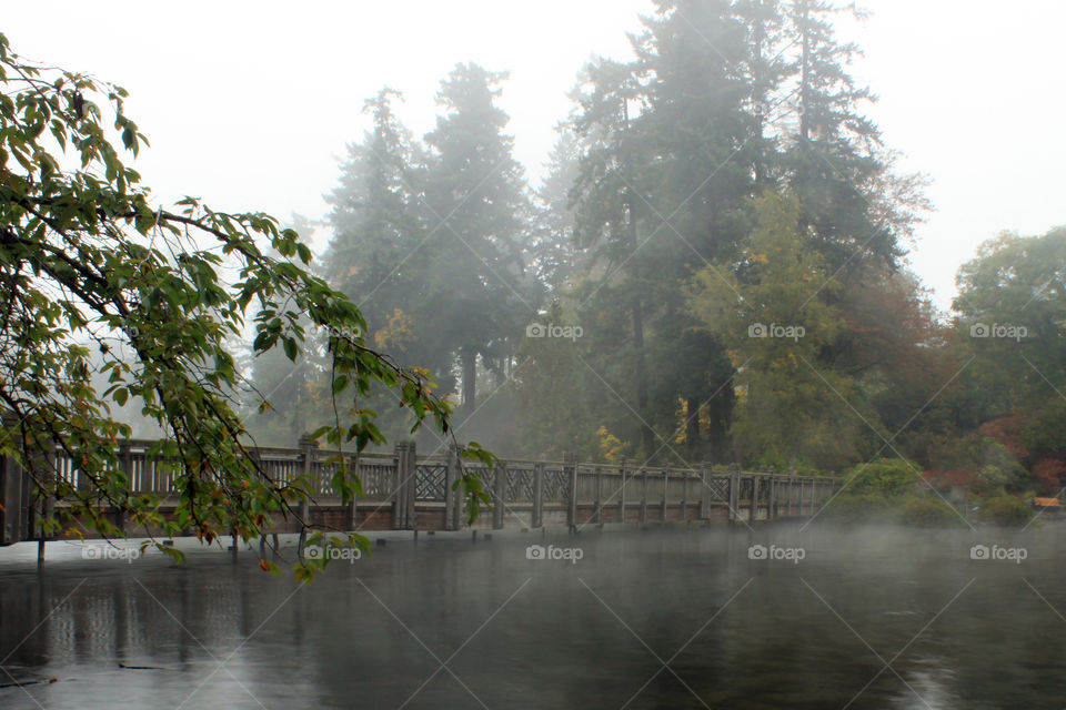 Footbridge at Crystal Springs Pond, Portland Oregon on a foggy morning 