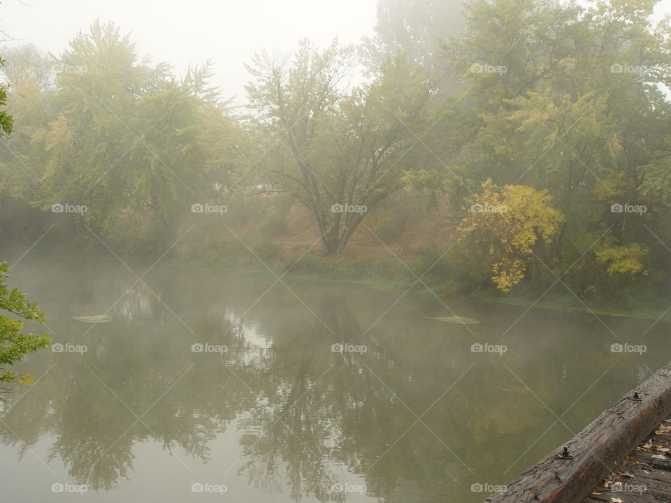 River in mist
