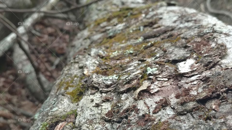 Texture, Nature, Desktop, Pattern, Stone