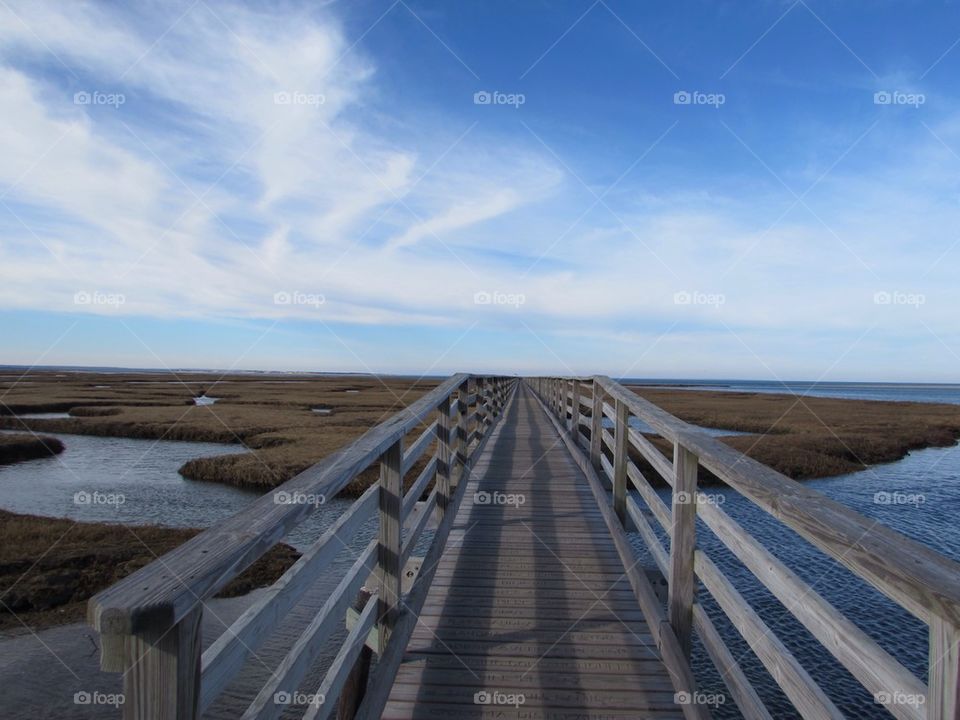 Boardwalk to nowhere