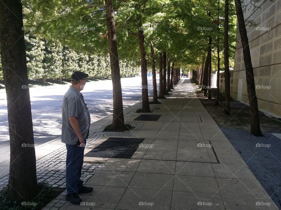 Man standing on a Tree Lined Urban Street