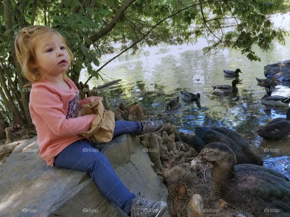 a day in the park