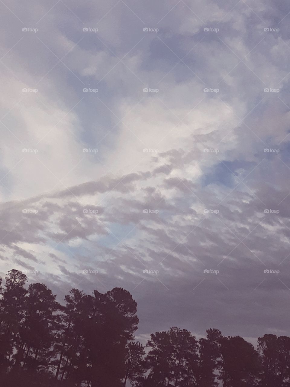 Series: Shades Of Gray