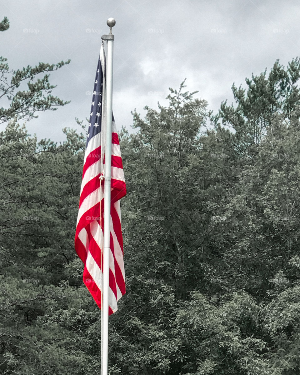 The American Flag against a backdrop of green trees. 