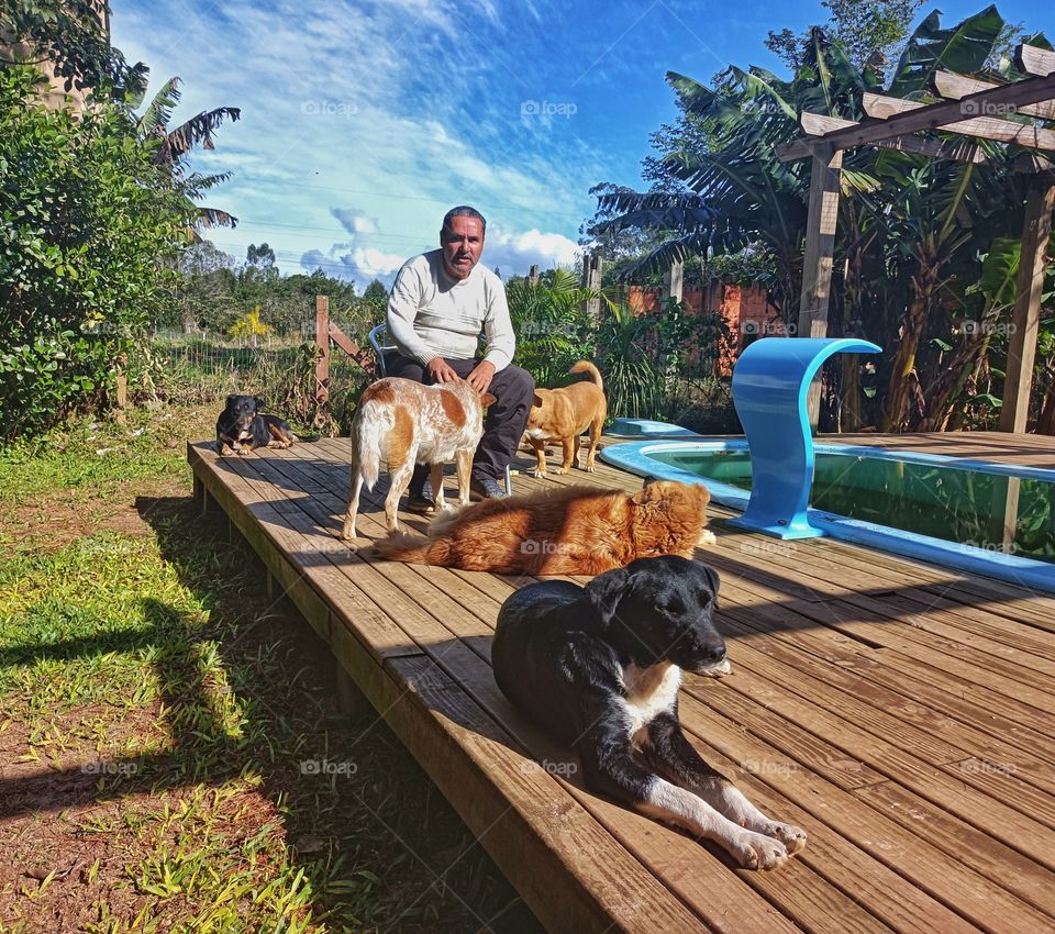 The man and the dogs