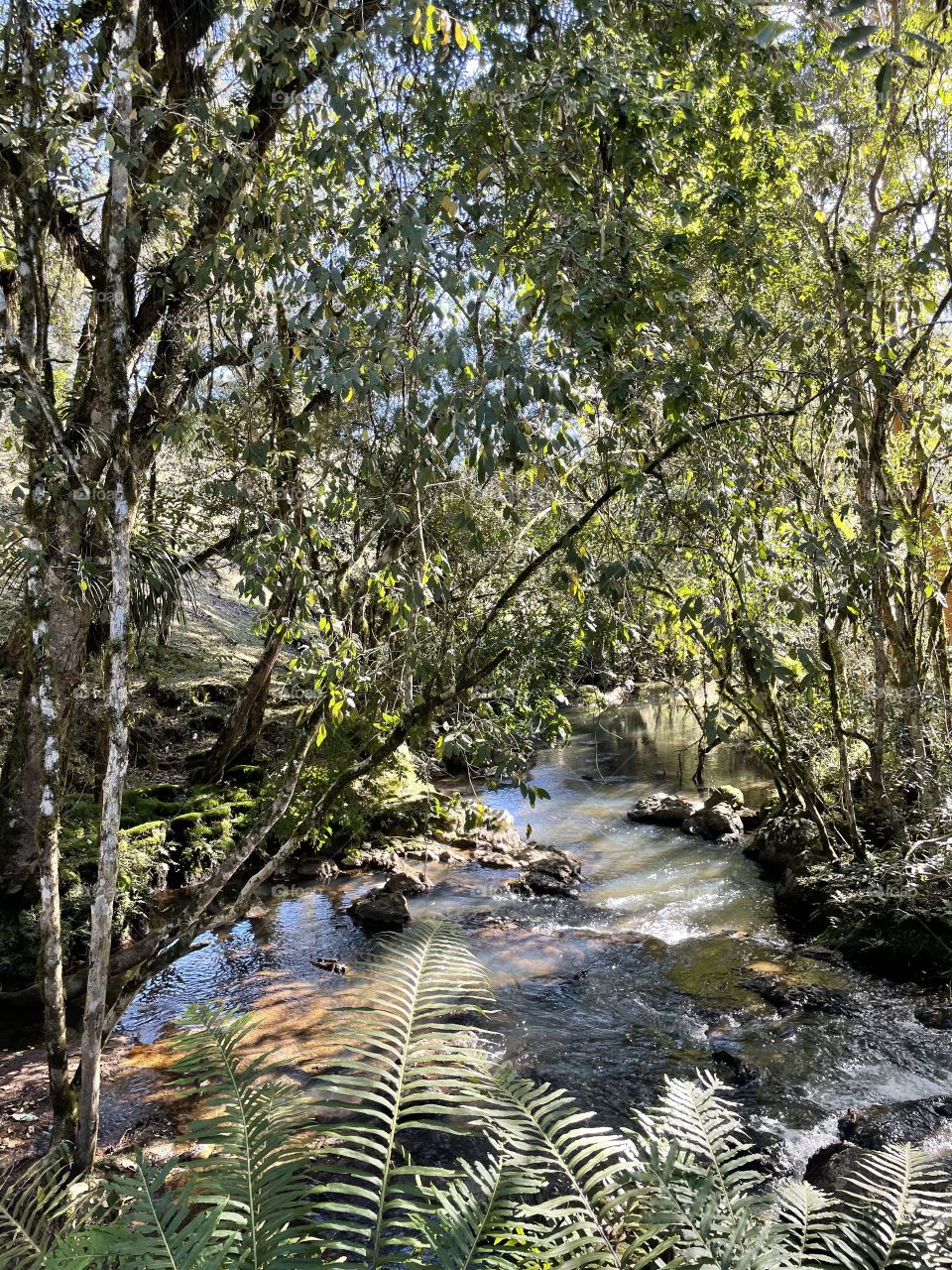 Cachoeira 