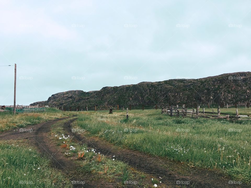 Tundra landscape 